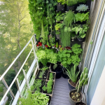 Le Potager Vertical en Appartement : Faire Cueillir sa Nourriture depuis son Balcon