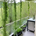 Du balcon à l&rsquo;assiette : Cultiver ses herbes aromatiques en potager vertical toute l&rsquo;année