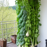 Du balcon à la table : Cultiver ses légumes favoris toute l&rsquo;année avec le potager vertical en intérieur